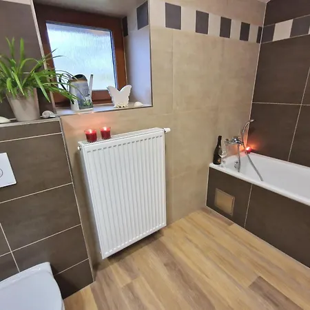בית נופש Podbrdska Nechanice (Plzen)